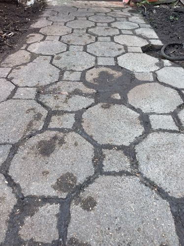 Pflastersteine 