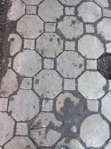 Pflastersteine 