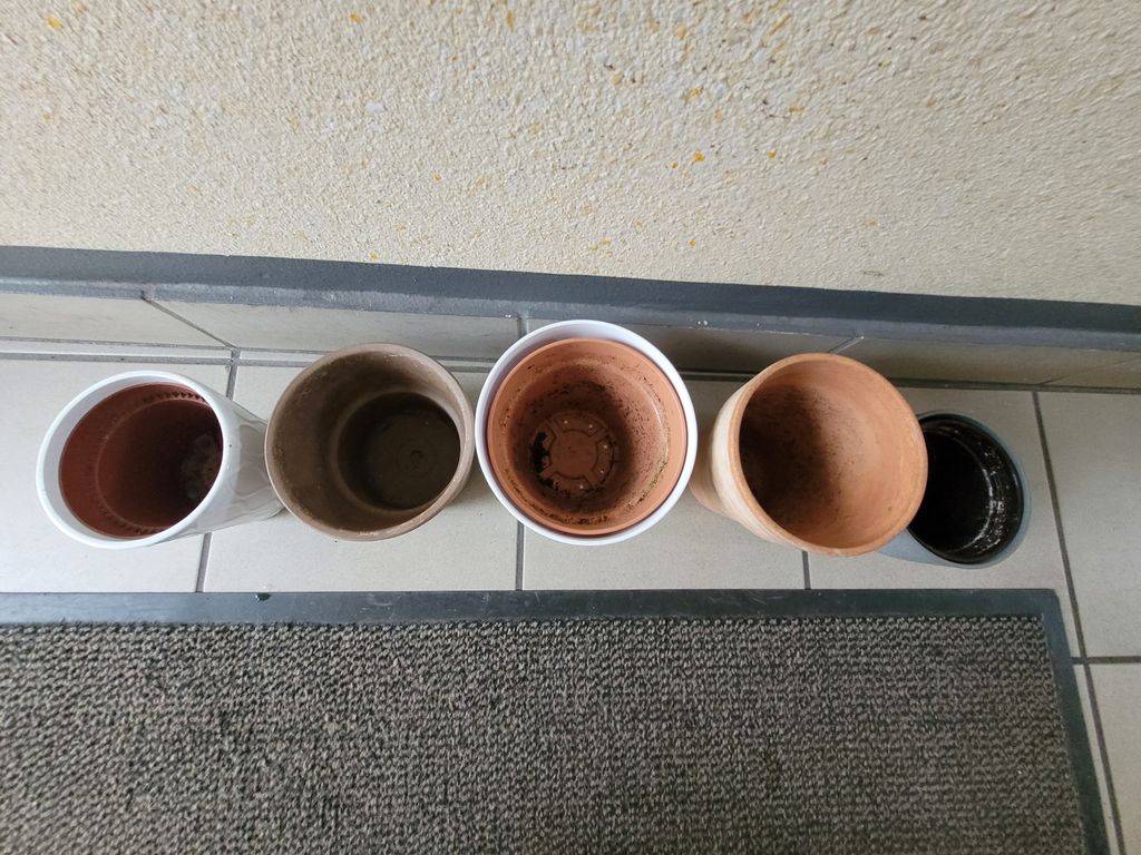 5 Blumentöpfe 